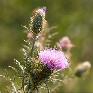 Meet your Posher, Angie